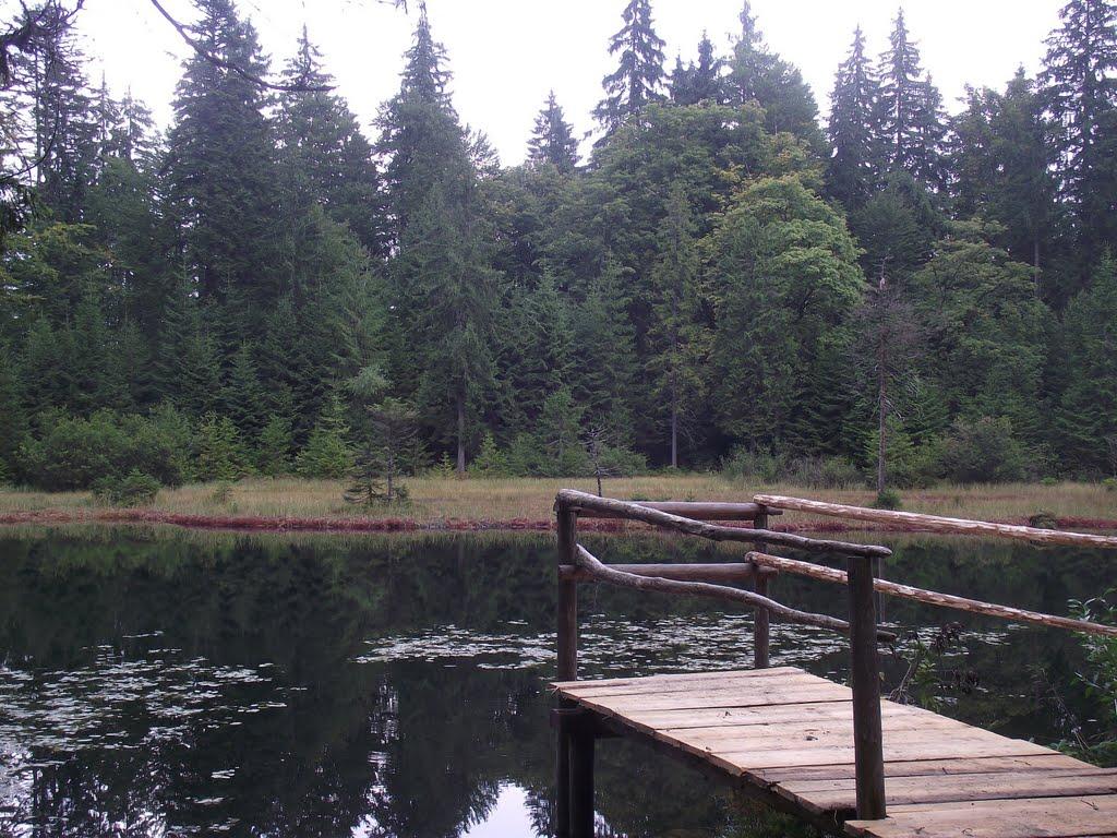 Заверхня Кичера з panoramio.com - Заверхня Кичера