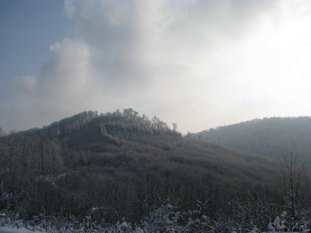 Хмелів з panoramio.com - Khmeliv