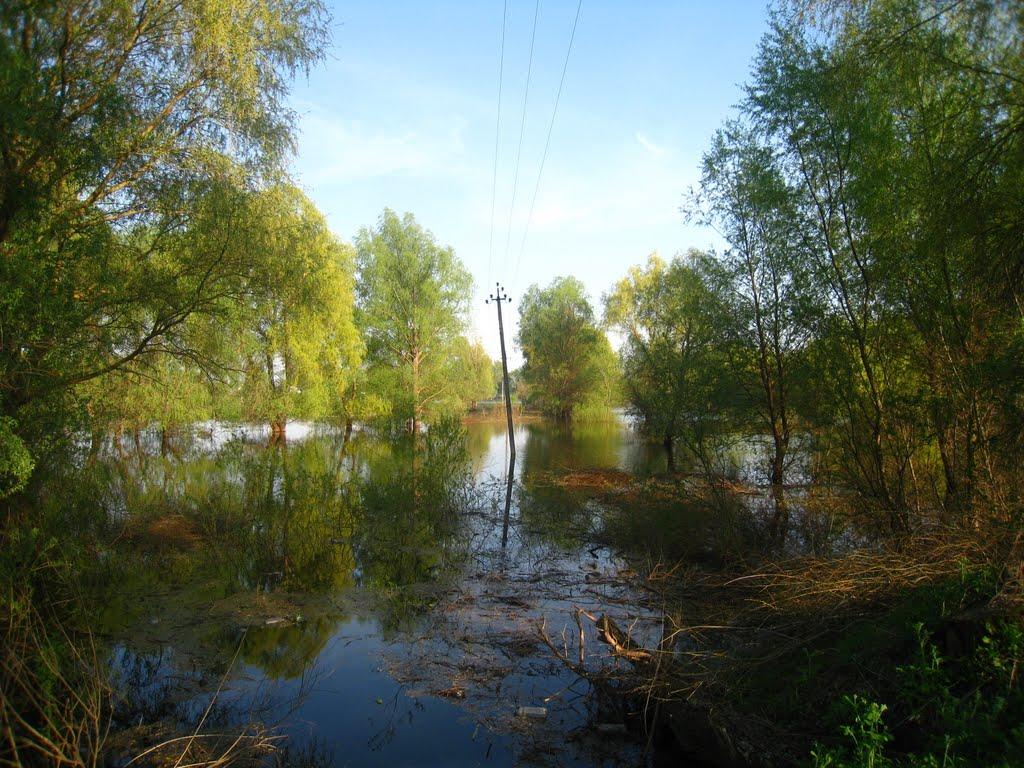 Салтикова Дівиця з panoramio.com - Салтикова Дівиця