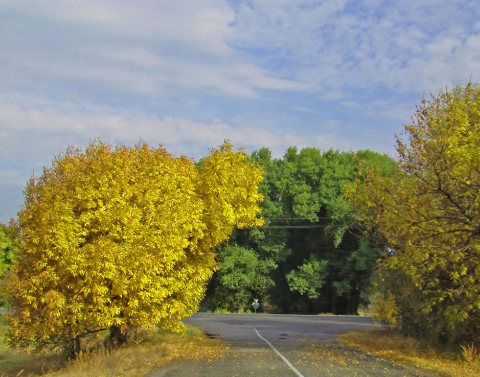 Волошинівка з panoramio.com - Волошинівка