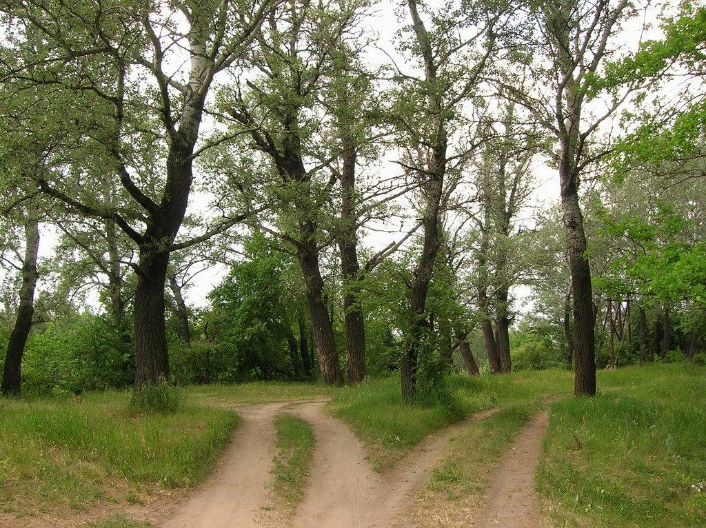 Весела Гора з panoramio.com - Весела Гора
