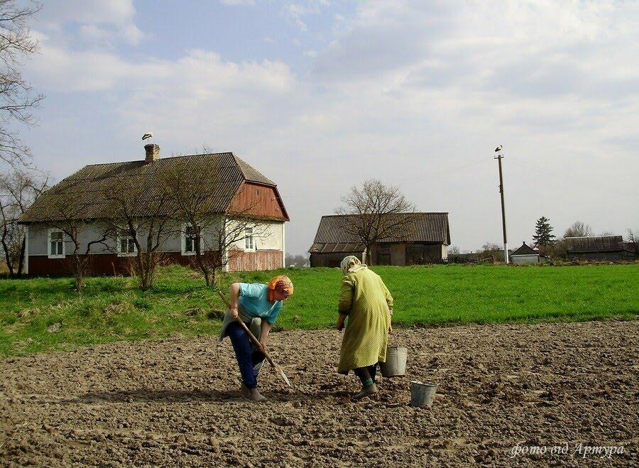 Звози з panoramio.com - Zvozy