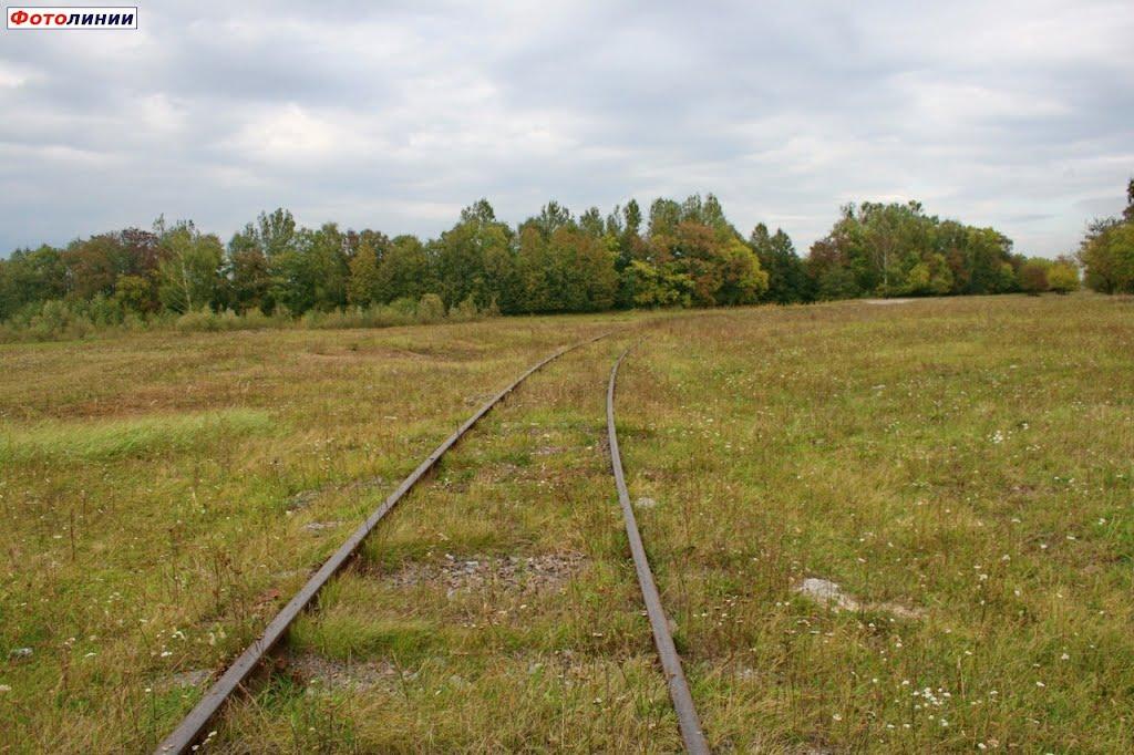 Камінь-Каширський з panoramio.com - Камінь-Каширський