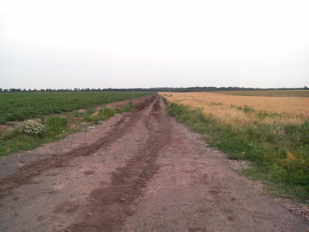 Миколаївське з panoramio.com - Миколаївське