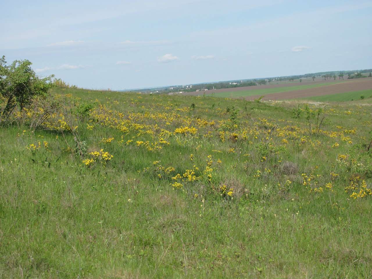 природа - Gorodnytsya