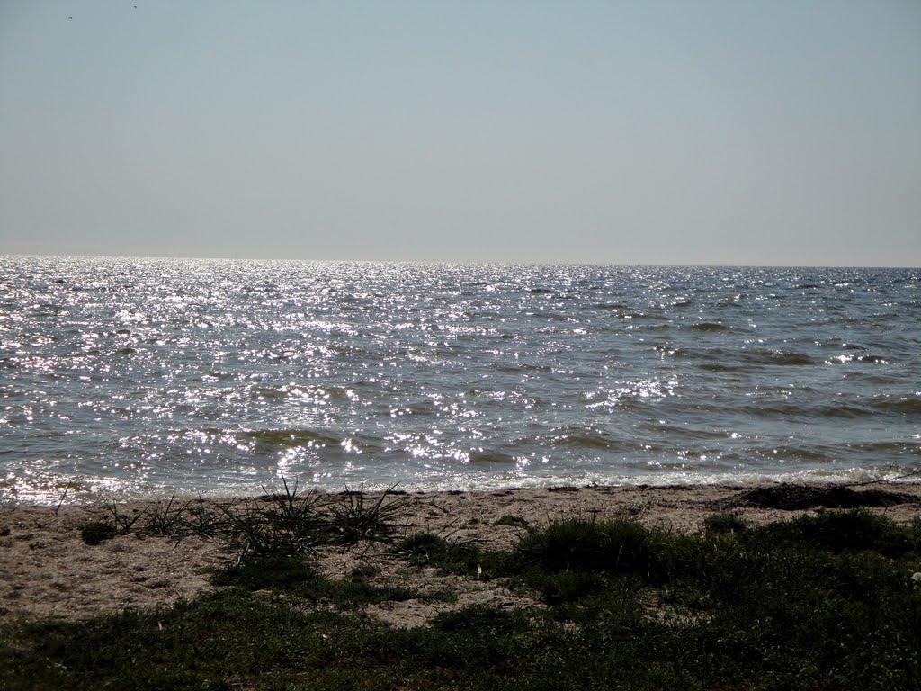 Солончаки з panoramio.com - Солончаки