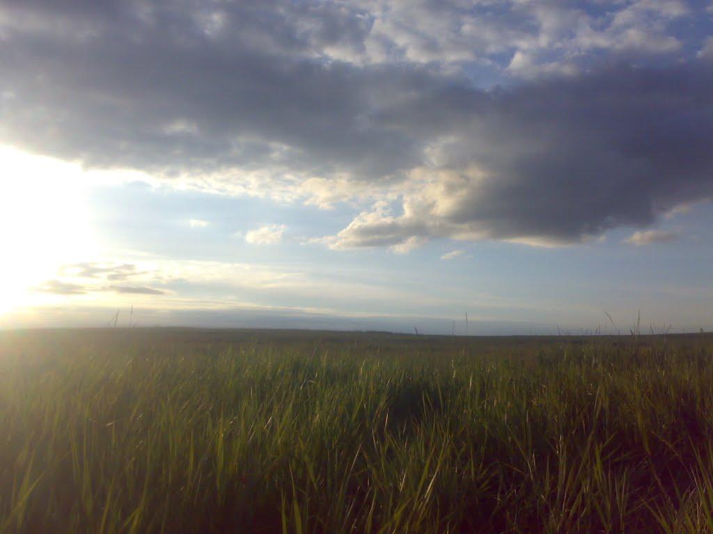 Немішаєве з panoramio.com - Немішаєве
