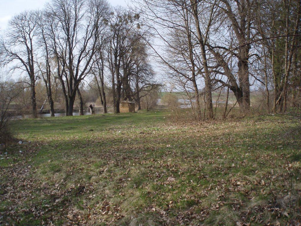 Цурків з panoramio.com - Цурків