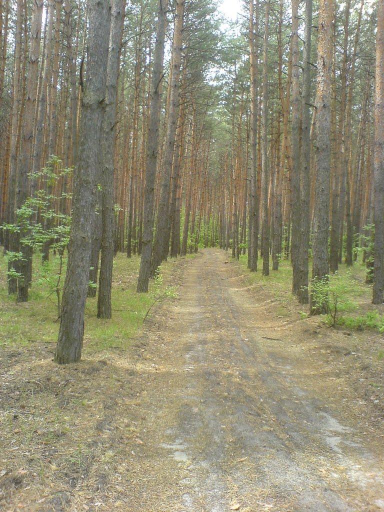 Морозівка з panoramio.com - Морозівка