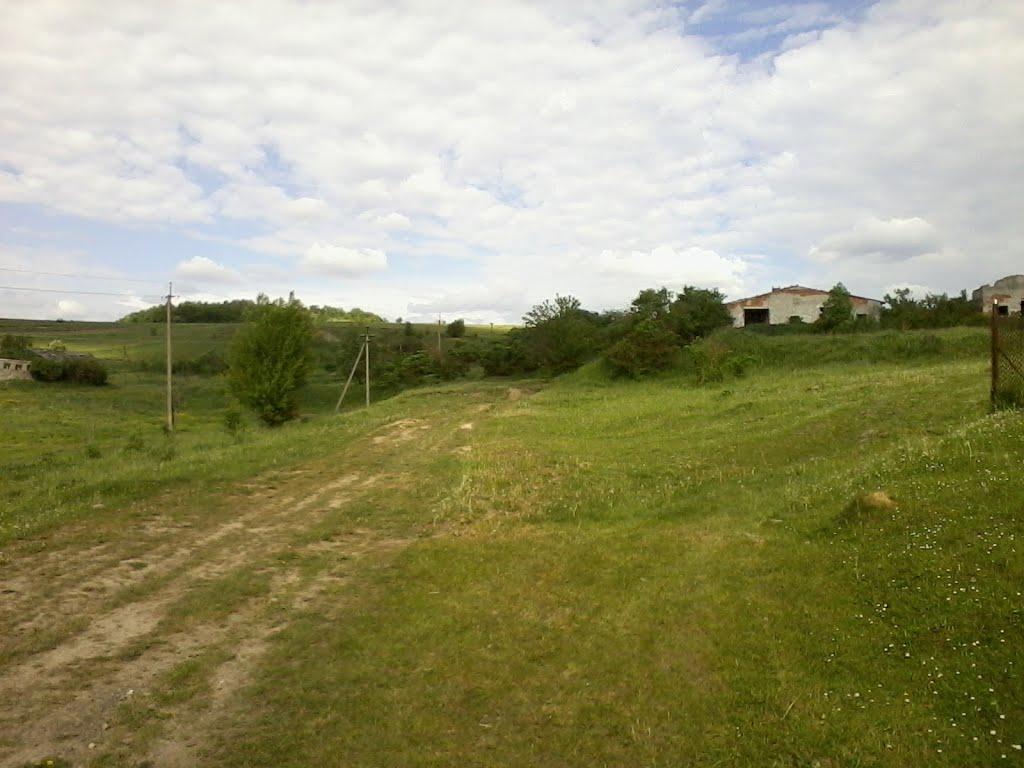 Лани з panoramio.com - Лани