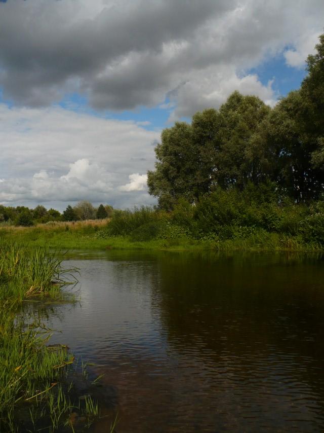 Грунівка з panoramio.com - Груновка