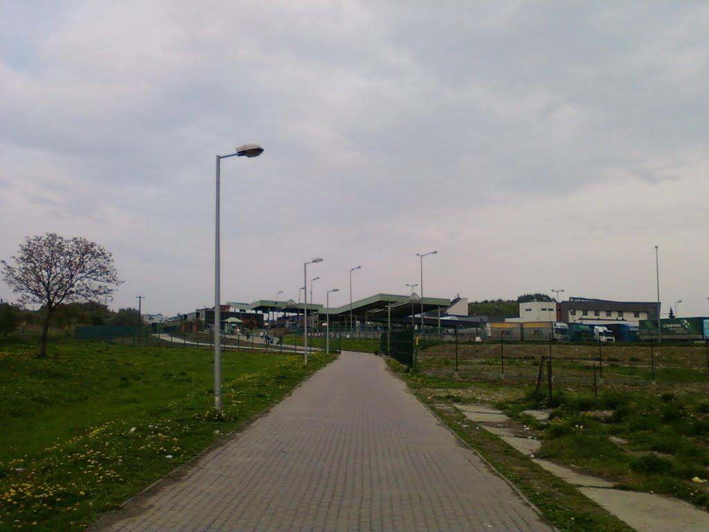 Биків з panoramio.com - Быков