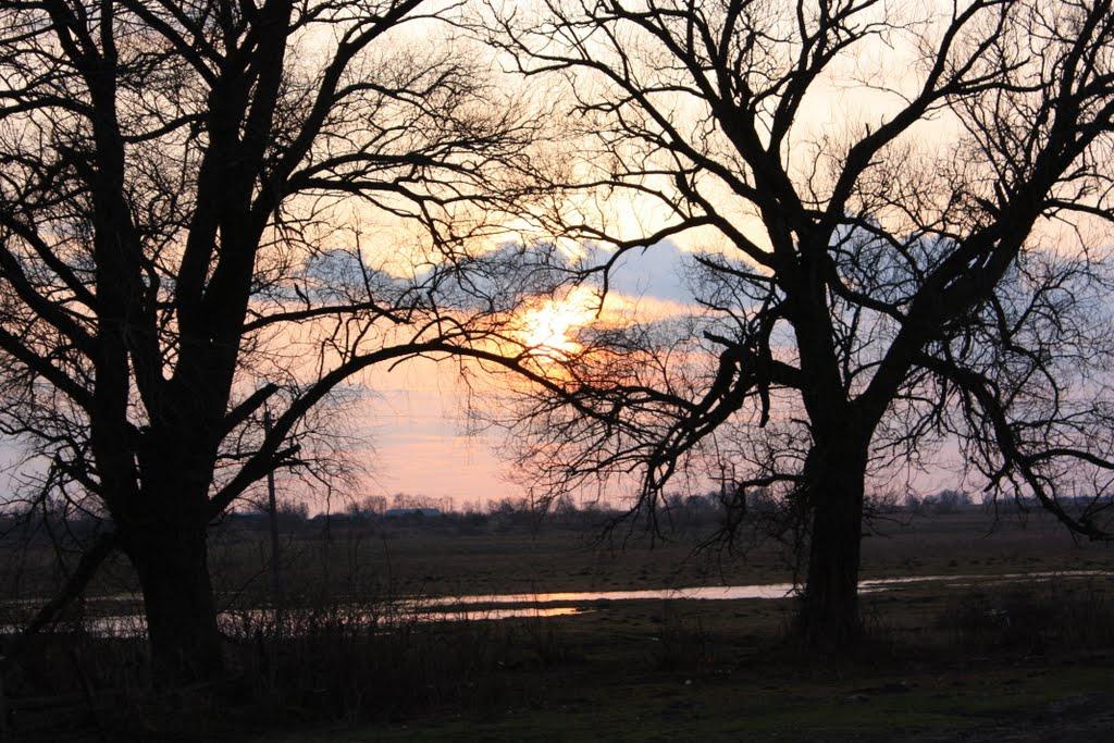 Дмитрів з panoramio.com - Дмитрів