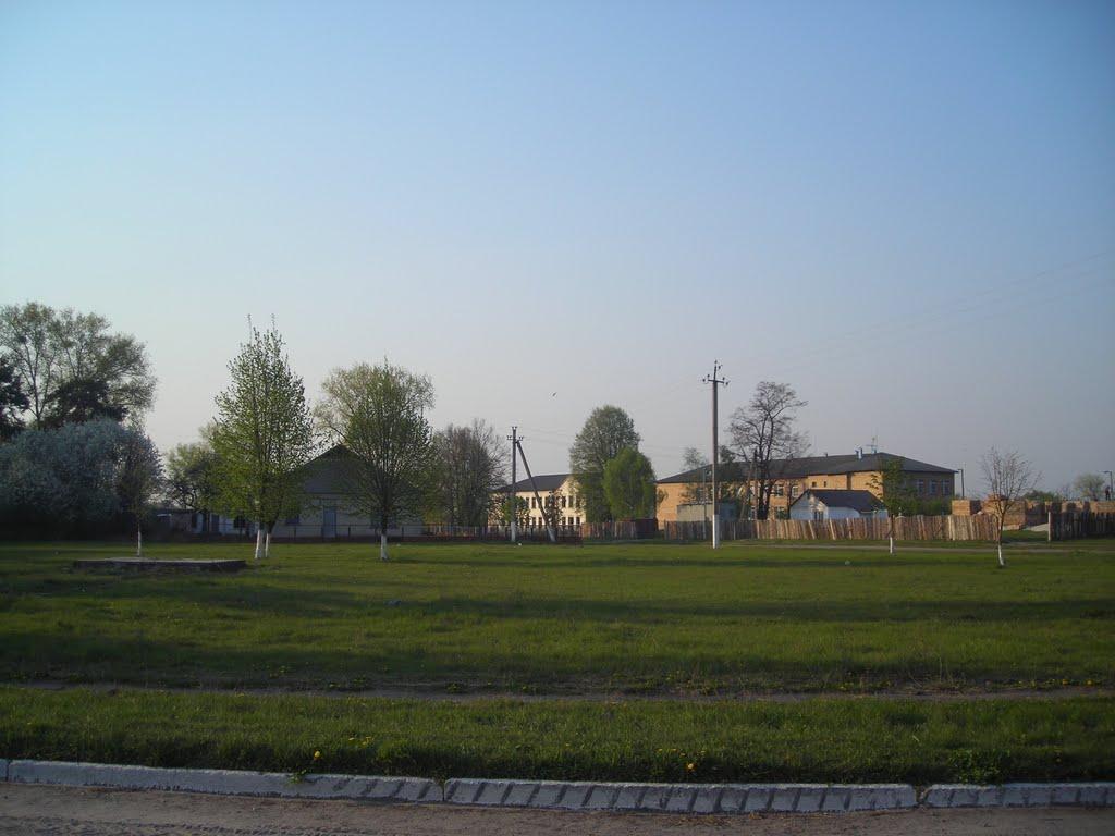 Землянка з panoramio.com - Zemlyanka