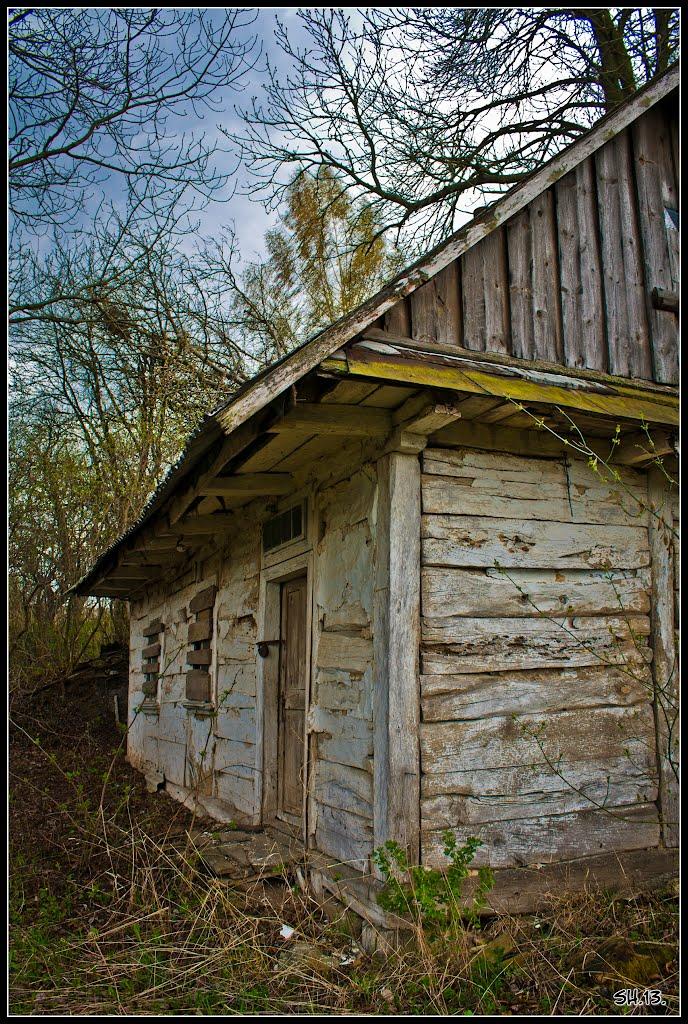 Великі Сади з panoramio.com - Великі Сади