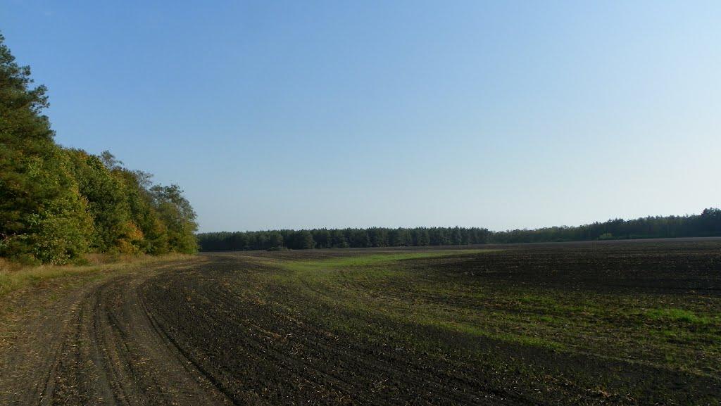 Чехівка з panoramio.com - Чехівка