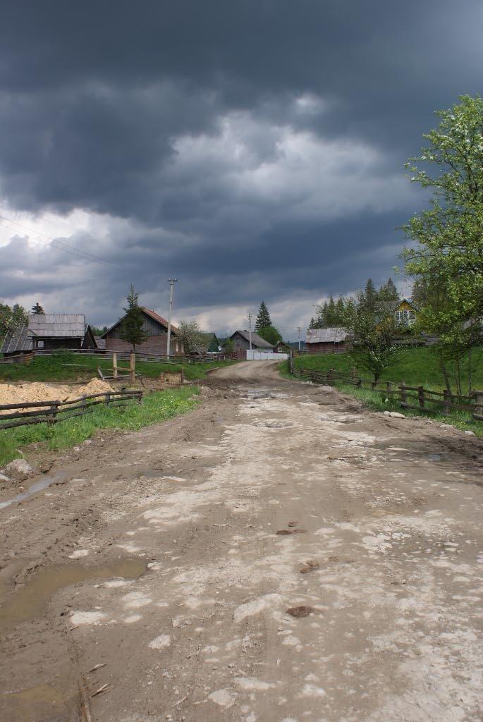 Чорна Тиса з panoramio.com - Черная Тиса