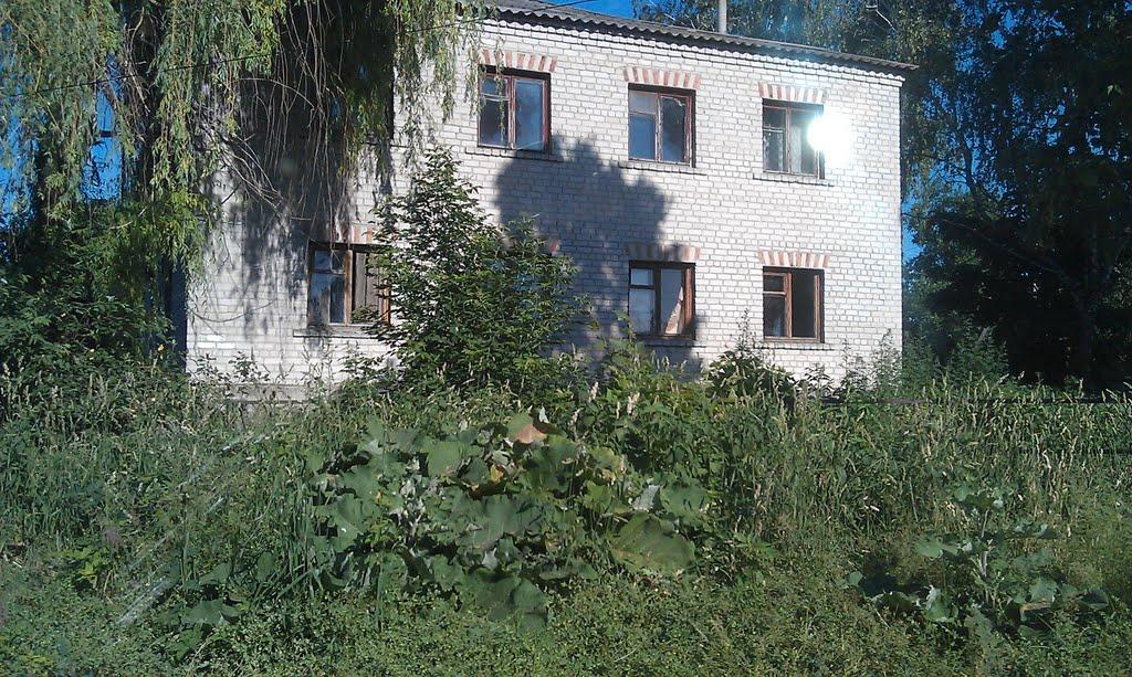 Святилівка з panoramio.com - Svyatylivka