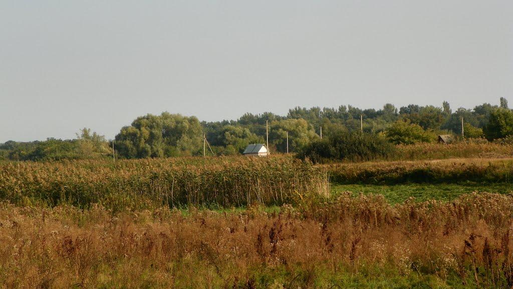 Чехівка з panoramio.com - Чехівка