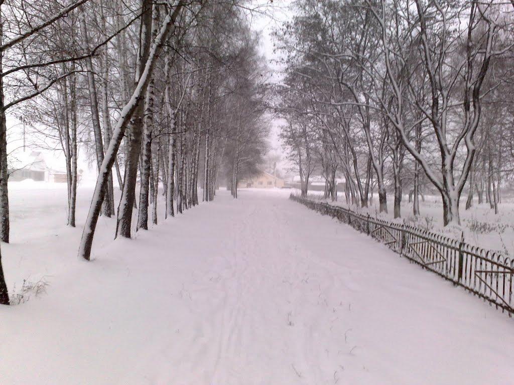 Рибалкине з panoramio.com - Рыбалкино