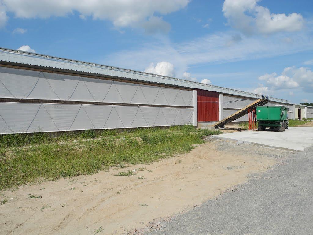 Красносільське з panoramio.com - Красносельское