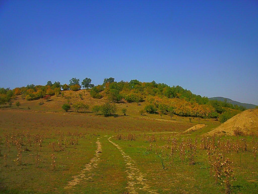 Плотинне з panoramio.com - Плотинное