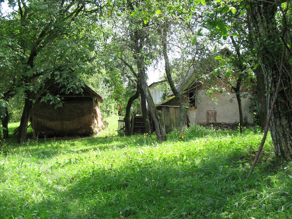 Великий Раковець з panoramio.com - Великий Раковець