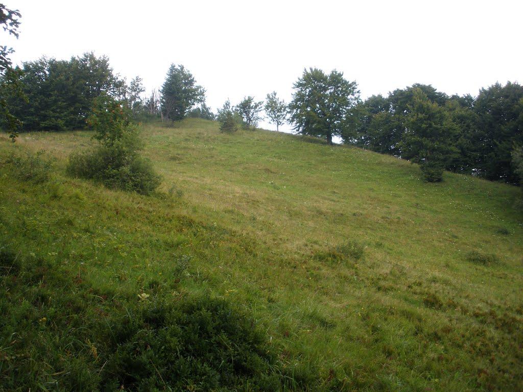 Домашин з panoramio.com - Домашин