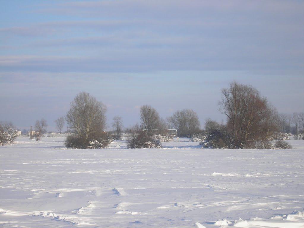 Малі Селменці з panoramio.com - Малые Селлменцы
