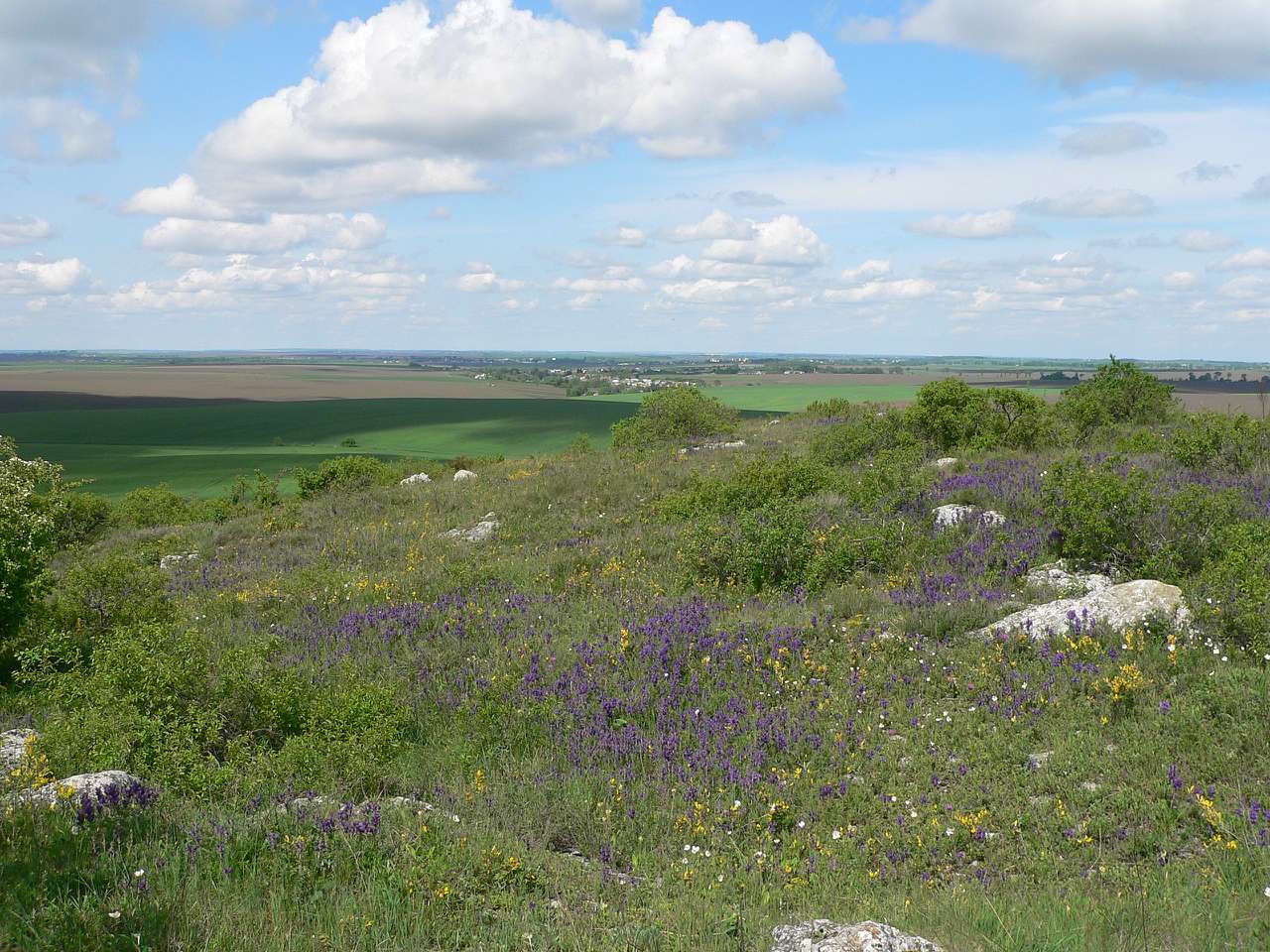 природа - Городница