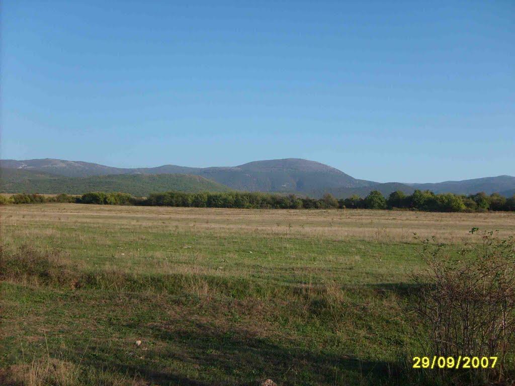 Новобобрівське з panoramio.com - Новобобрівське