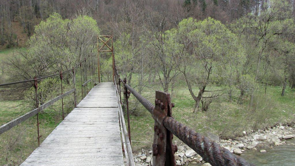 Новий Мізунь з panoramio.com - Новый Мизунь