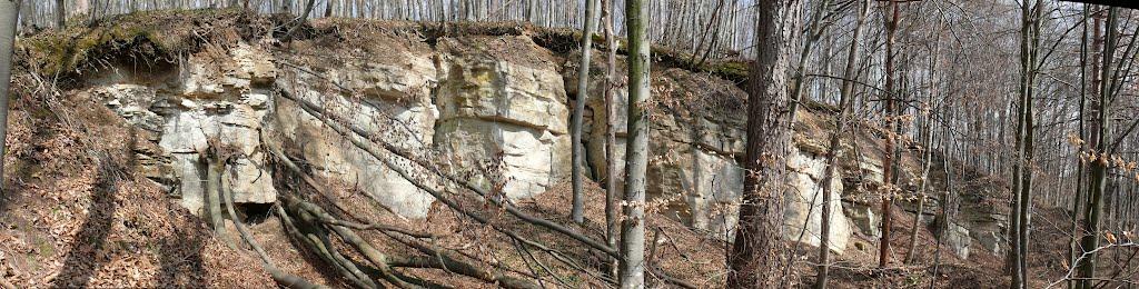 Розділ з panoramio.com - Роздол
