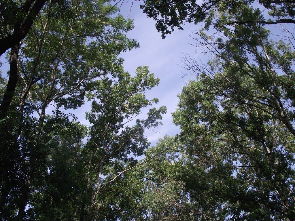 Вуглегірськ з panoramio.com - Вуглегірськ