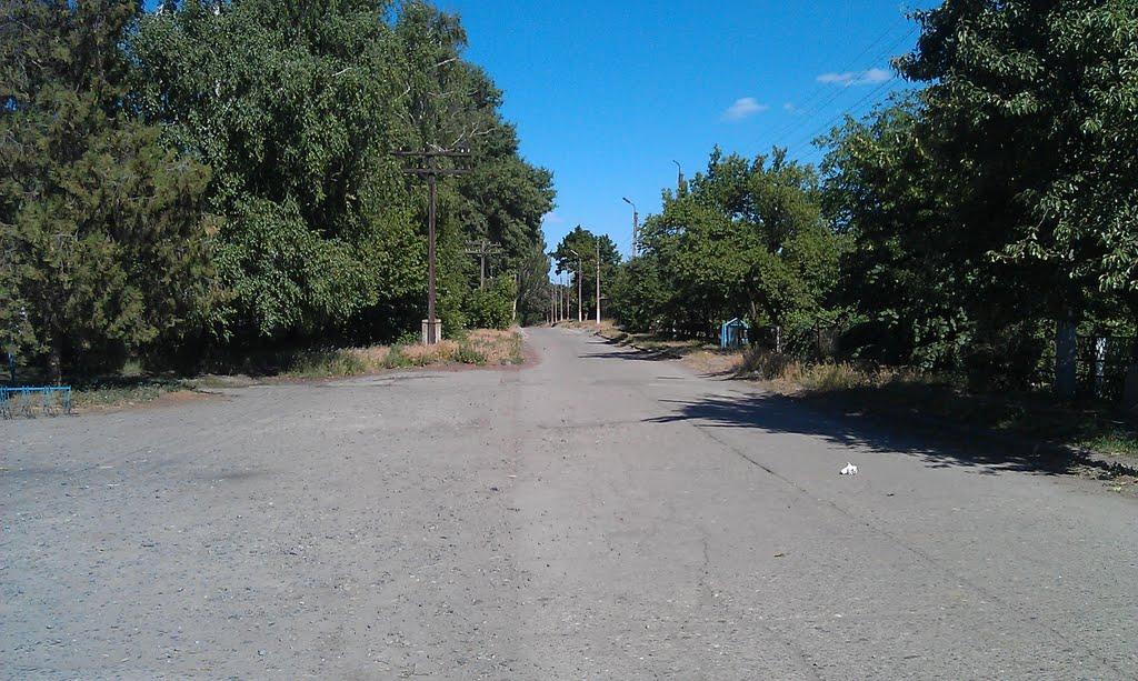 Святилівка з panoramio.com - Святиловка
