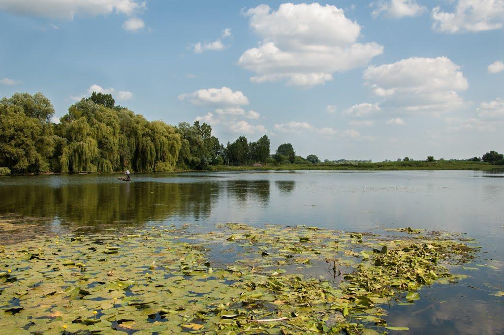 Теслугів з panoramio.com - Теслугів