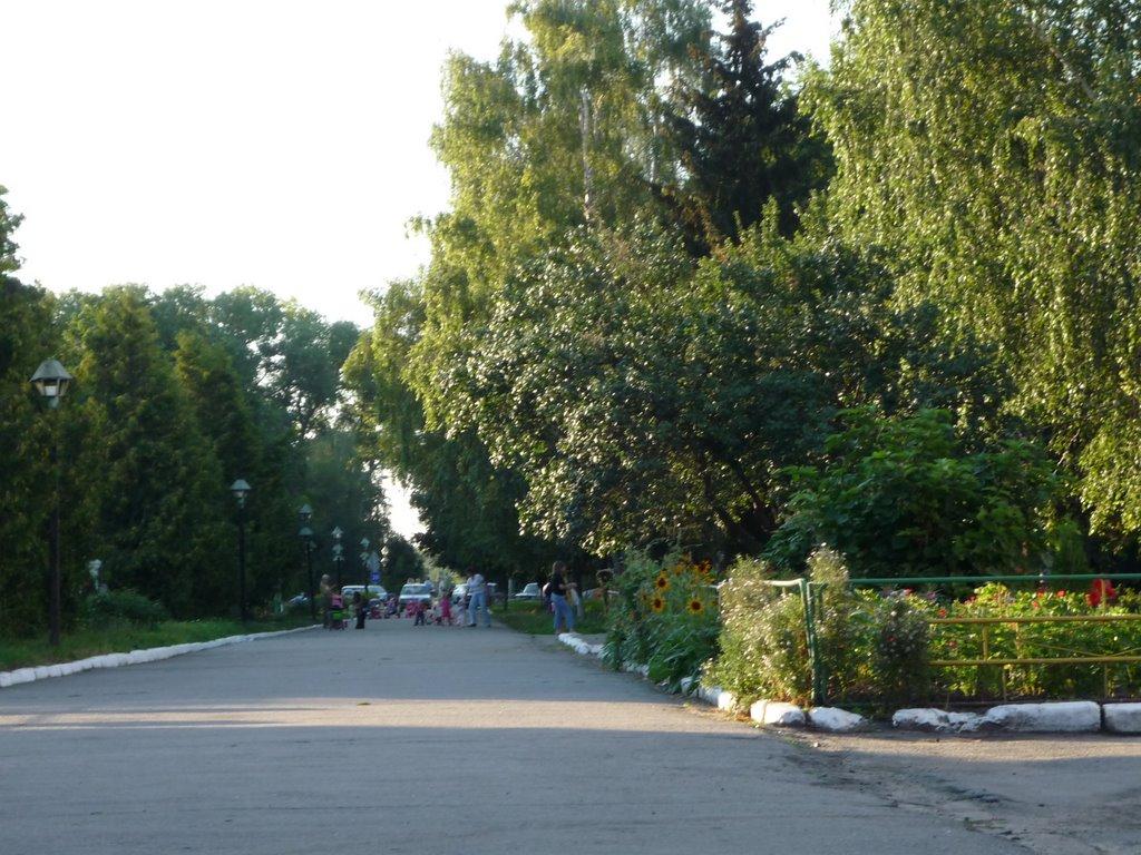 Дослідницьке з panoramio.com - Дослидницкое