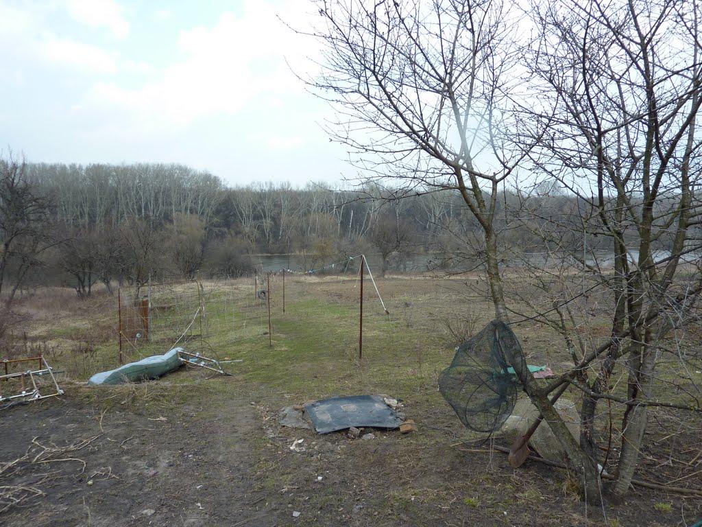 Шпаківка з panoramio.com - Шпаківка