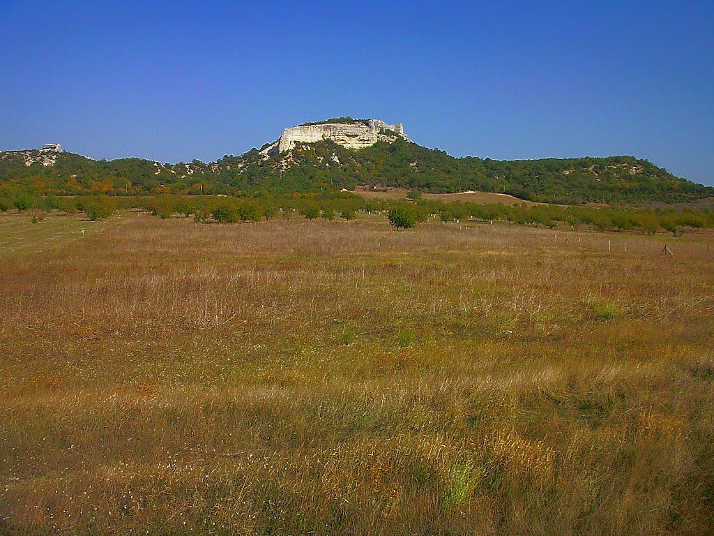 Красний Мак з panoramio.com - Красный Мак