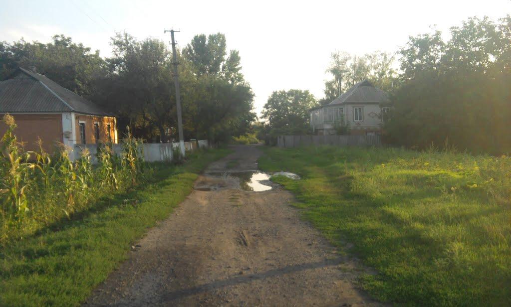 Филенкове з panoramio.com - Филенково