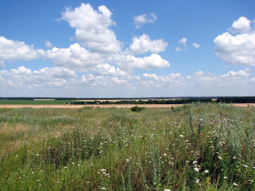 Волноваха з panoramio.com - Волноваха