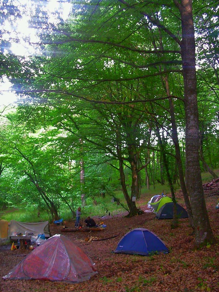 Краснолісся з panoramio.com - Краснолесье