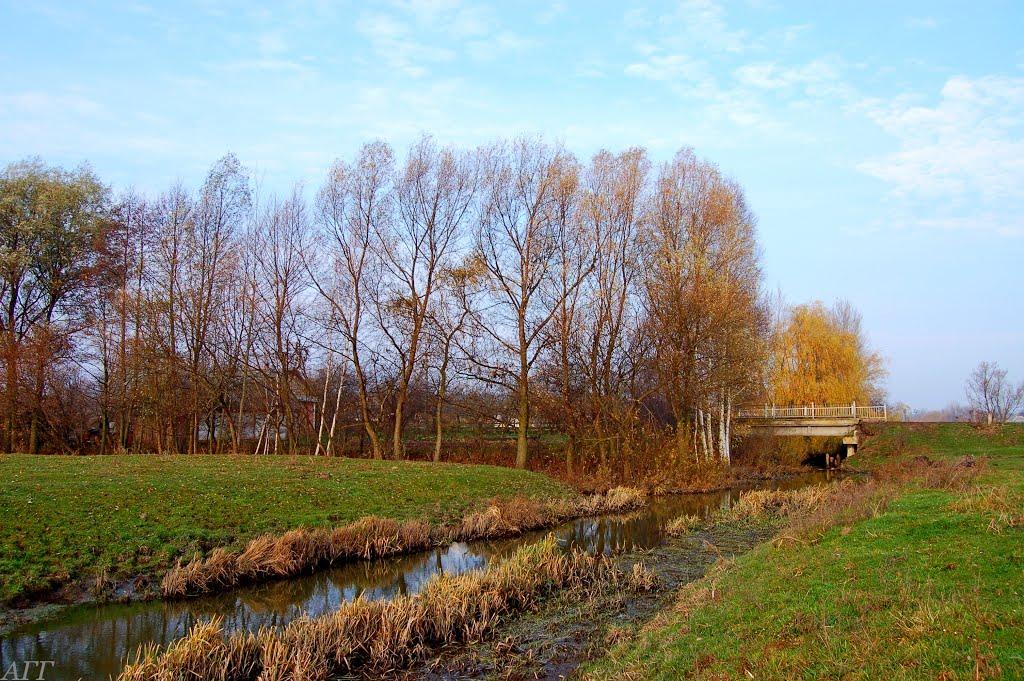Великі Межирічі з panoramio.com - Великі Межирічі