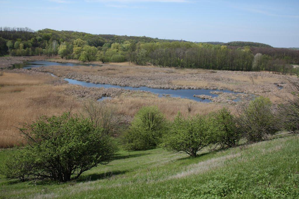 Загородище з panoramio.com - Загородище