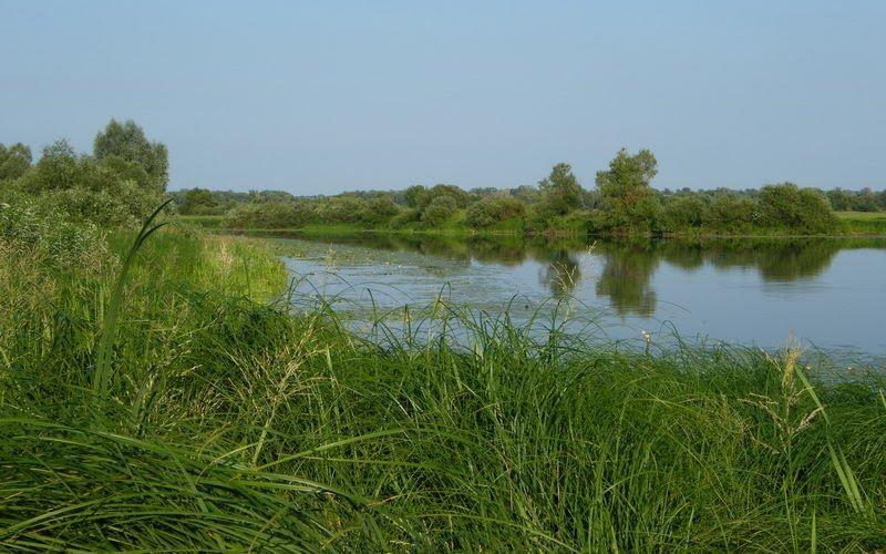 Слабин з panoramio.com - Slabyn
