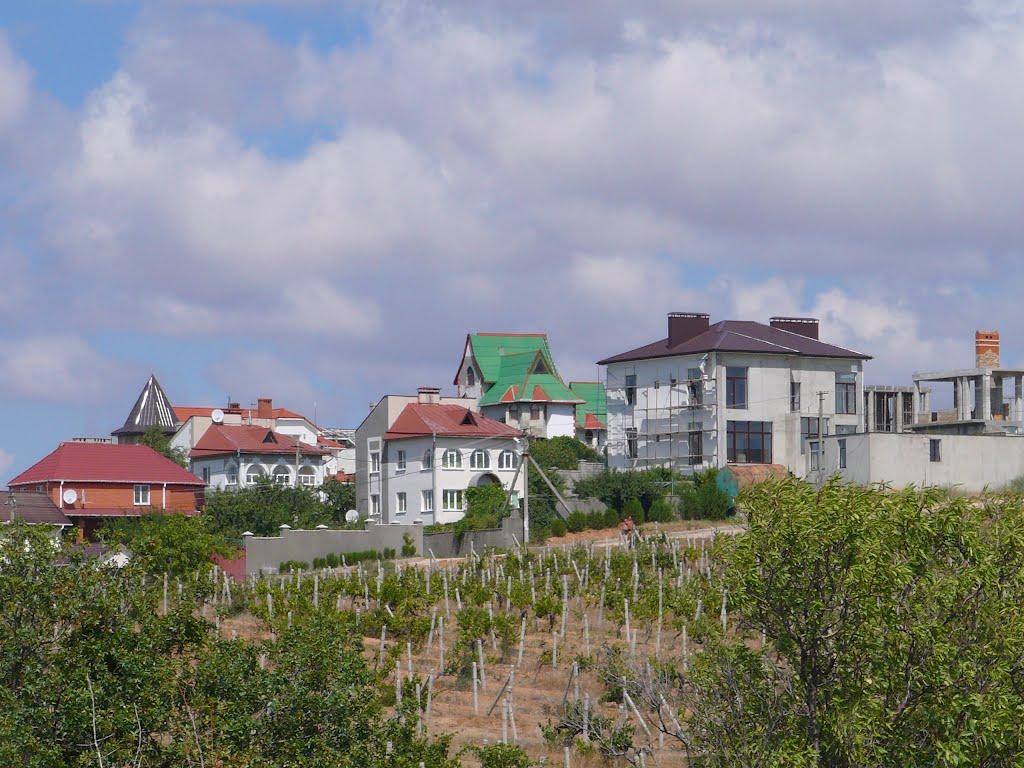 Любимівка з panoramio.com - Любимовка