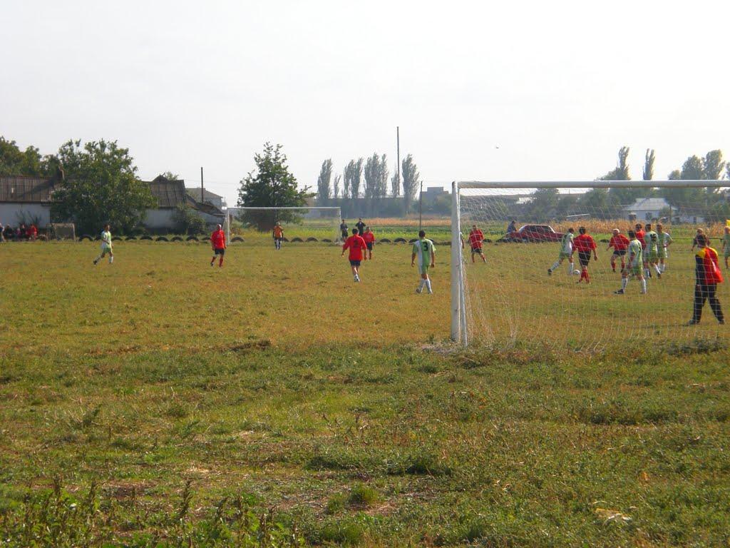 Вільне з panoramio.com - Вольное