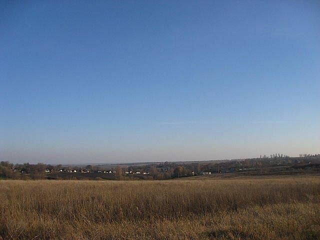 Чапля з panoramio.com - Чапля