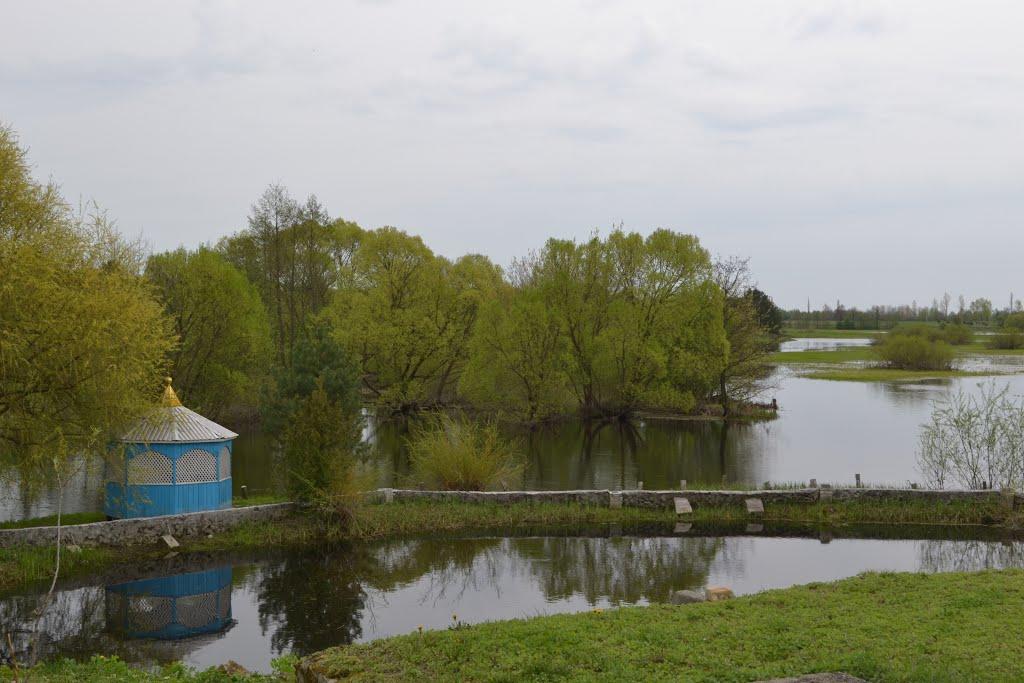 Мильці з panoramio.com - Мильці