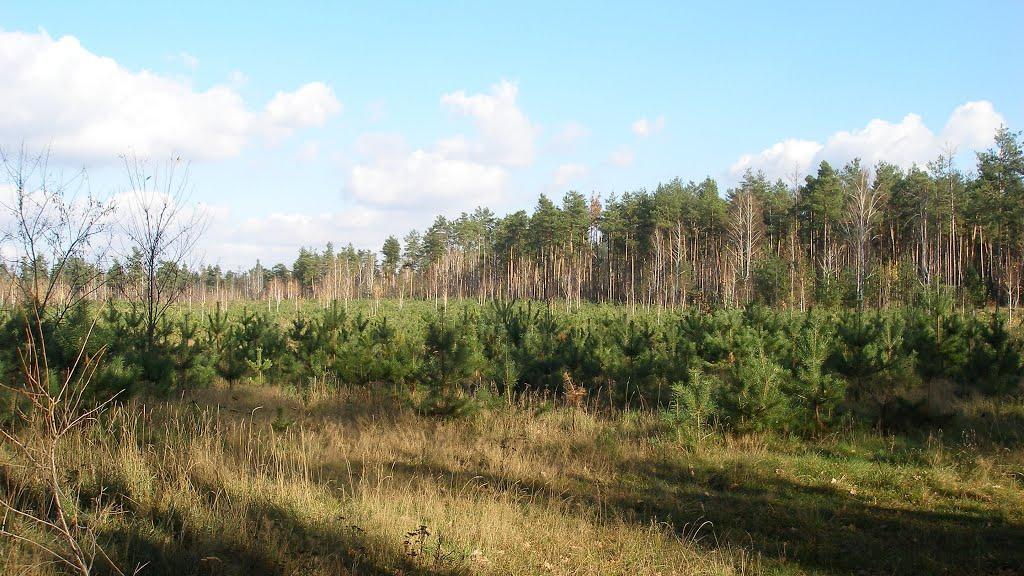 Маньківка з panoramio.com - Маньківка